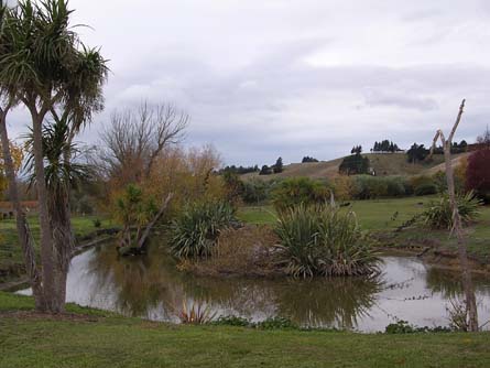 VineSmart - New Zealand Vineyard, Winery, Home, and Olive Grove For Sale - Marlborough, South Island, New Zealand  - Wine Real Estate